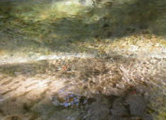 湧き水